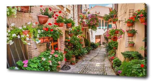 Tablou canvas străzile italiene