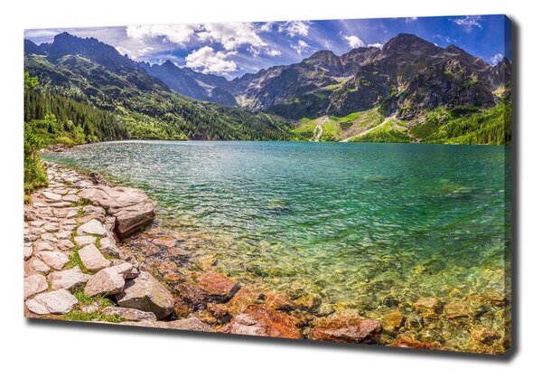 Tablou pe pânză canvas Marine ochi Tatry