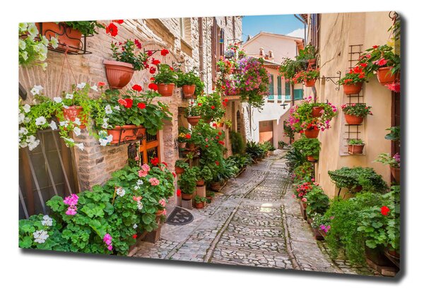 Tablou canvas străzile italiene