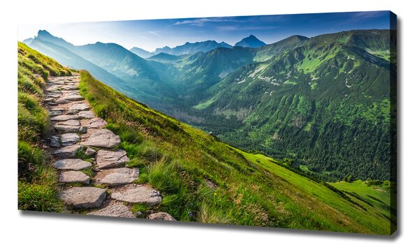 Tablou pe pânză Cale în Munții Tatra