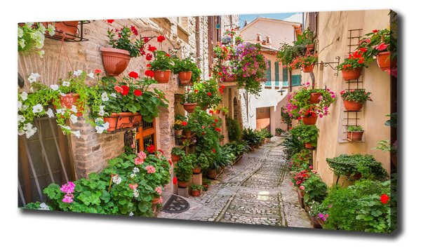 Tablou canvas străzile italiene