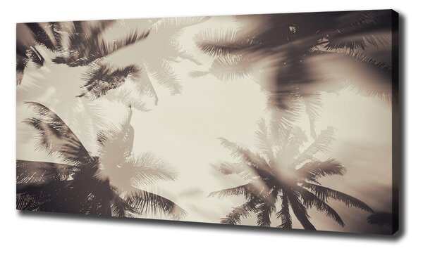 Print pe canvas palmieri