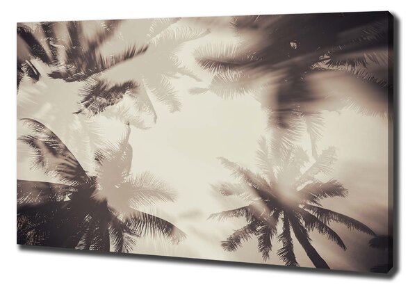 Print pe canvas palmieri