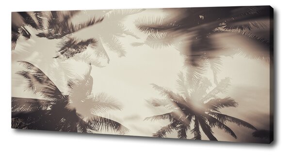 Print pe canvas palmieri