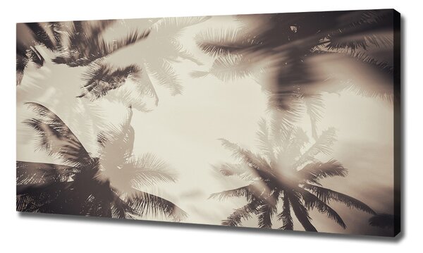 Print pe canvas palmieri