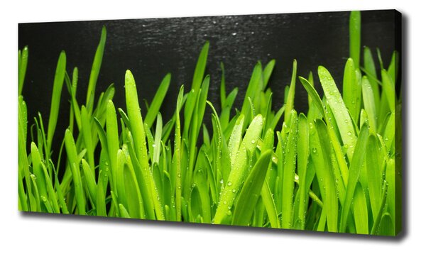 Tablou pe pânză canvas Iarbă