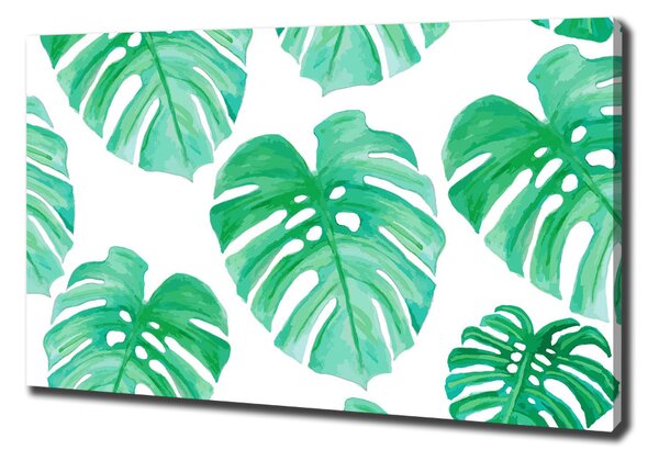 Print pe pânză Monstera
