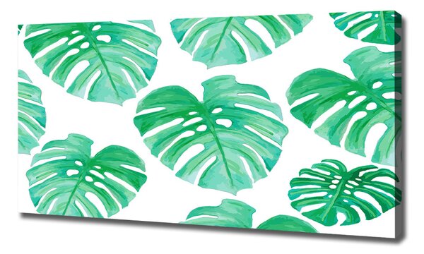 Print pe pânză Monstera