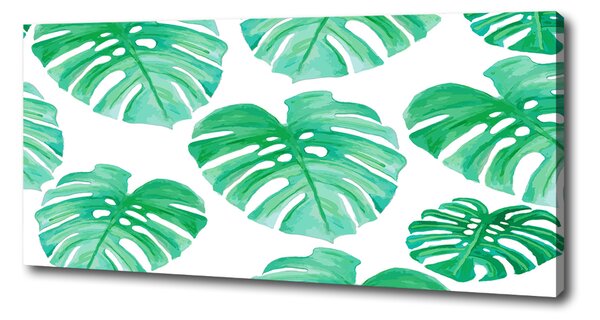 Print pe pânză Monstera