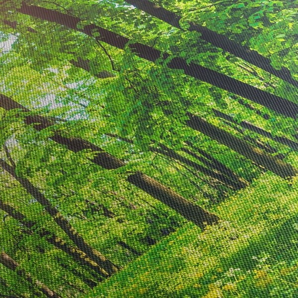 Tablou - Pădurea cu frunze de primăvară (70x50 cm)
