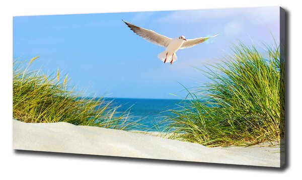 Print pe canvas Seagull pe plajă