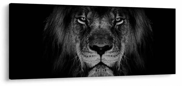 Tablou - Leu majestic (120x50 cm)