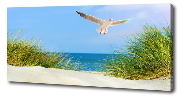 Print pe canvas Seagull pe plajă