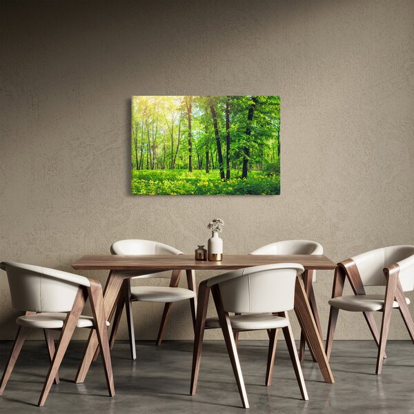 Tablou - Pădurea cu frunze de primăvară (90x60 cm)