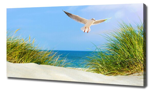 Print pe canvas Seagull pe plajă