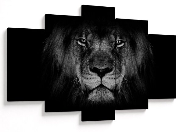 Tablou - Leu majestic (150x105 cm)