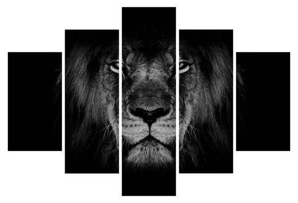 Tablou - Leu majestic (150x105 cm)