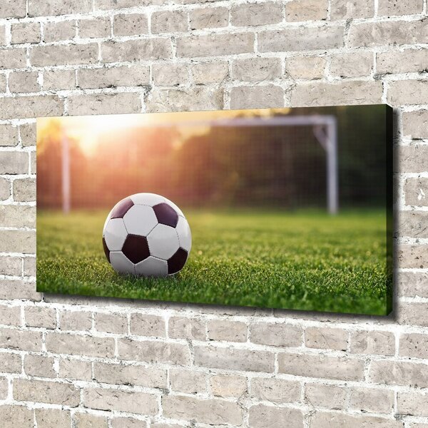 Pictură pe pânză Fotbal