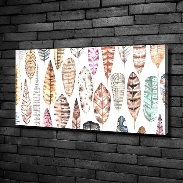 Tablou canvas pene colorate