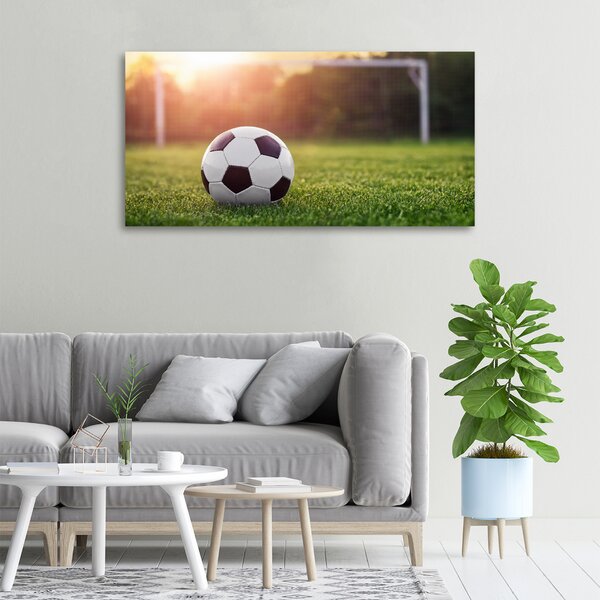 Pictură pe pânză Fotbal