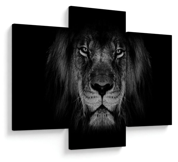 Tablou - Leu majestic (90x60 cm)