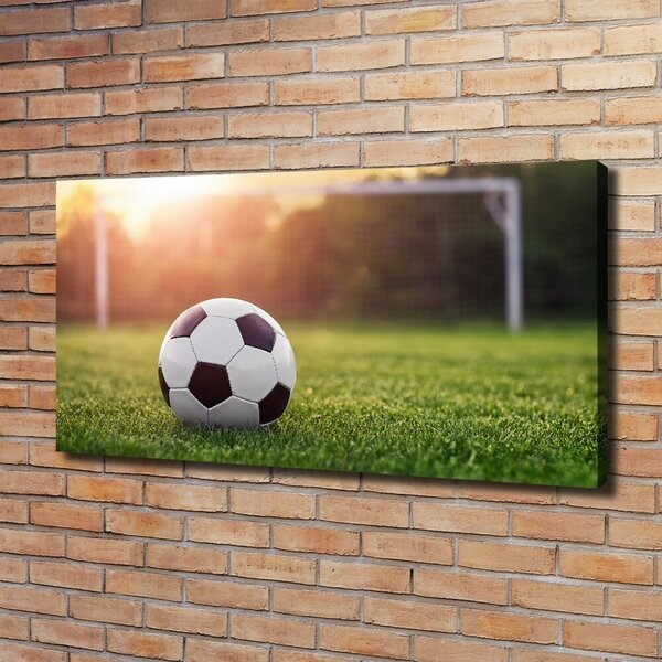 Pictură pe pânză Fotbal