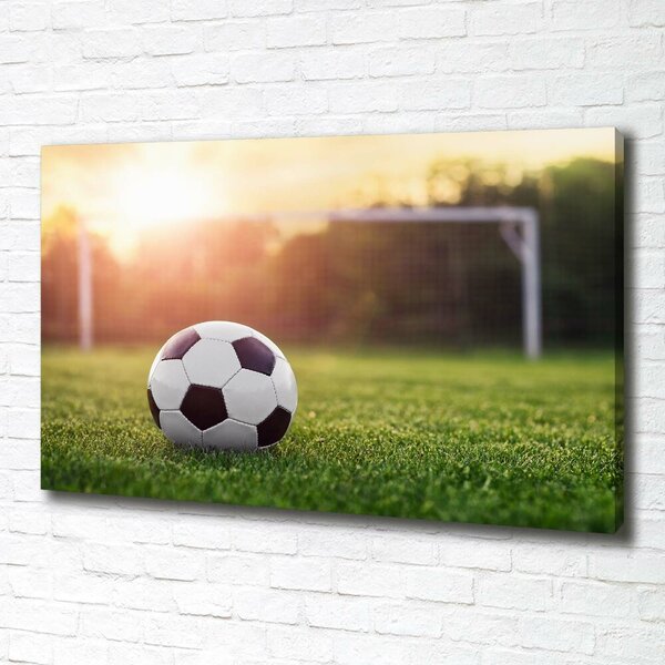 Pictură pe pânză Fotbal