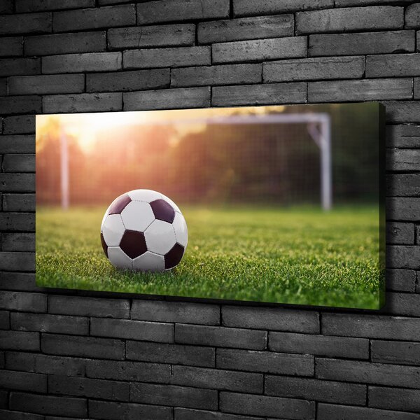 Pictură pe pânză Fotbal