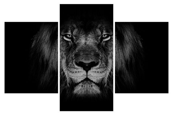 Tablou - Leu majestic (90x60 cm)