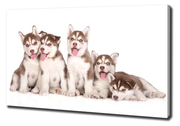 Print pe pânză catelusi Husky