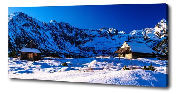 Tablou canvas Case în munții Tatra