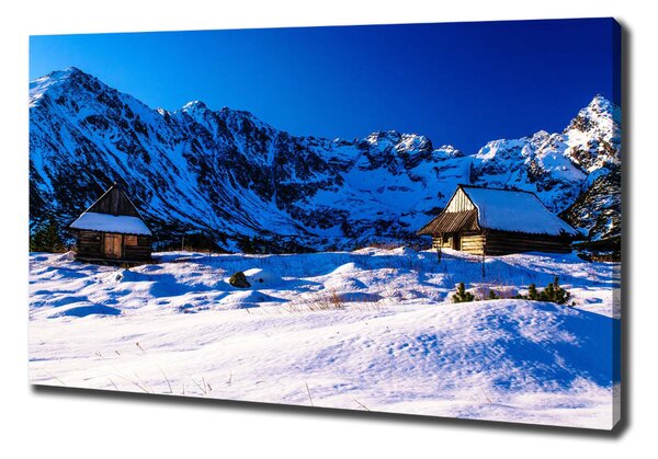 Tablou canvas Case în munții Tatra