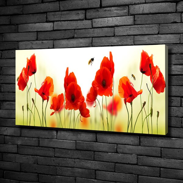 Imprimare tablou canvas Maki