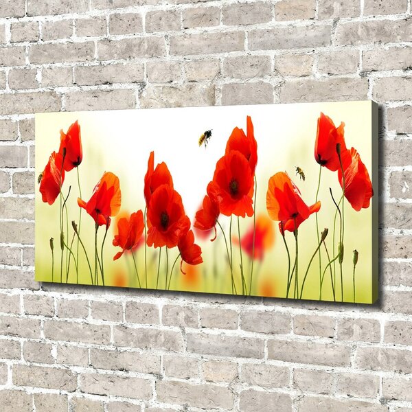 Imprimare tablou canvas Maki