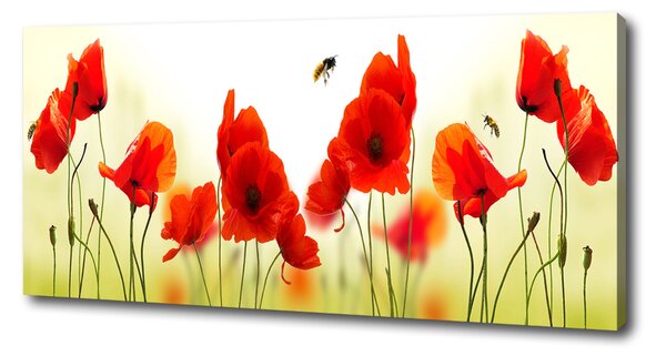 Imprimare tablou canvas Maki