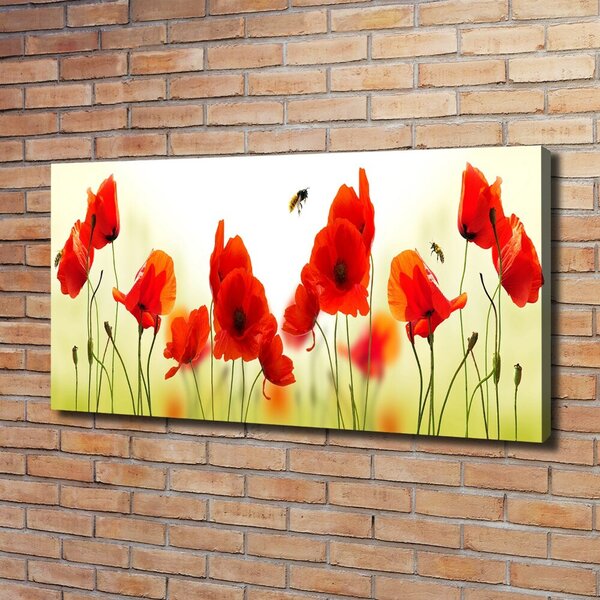 Imprimare tablou canvas Maki