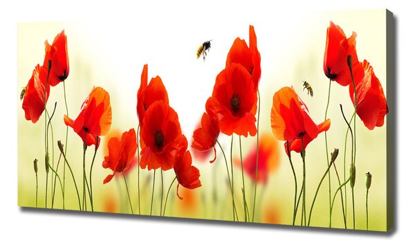 Imprimare tablou canvas Maki