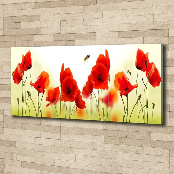 Imprimare tablou canvas Maki