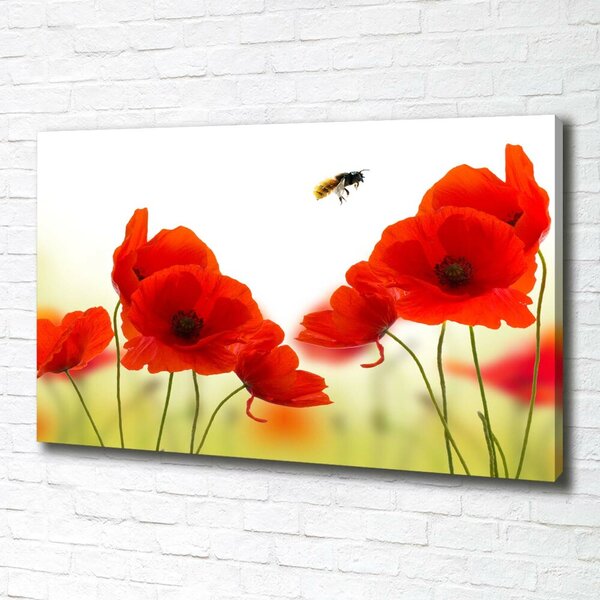 Imprimare tablou canvas Maki