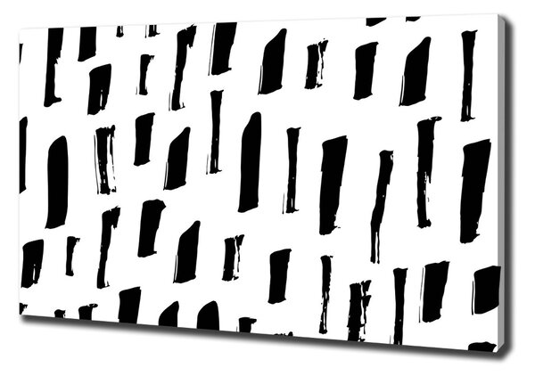 Print pe canvas pata alb-negru
