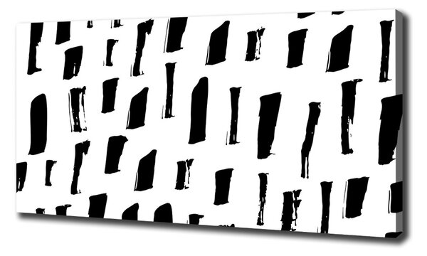 Print pe canvas pata alb-negru