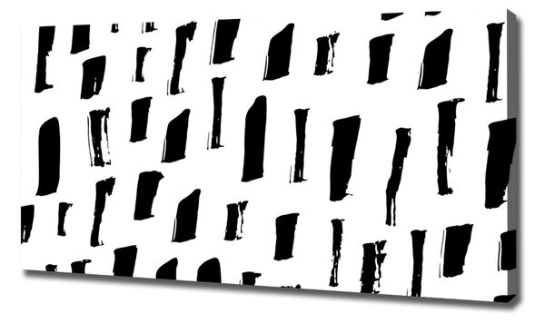 Print pe canvas pata alb-negru