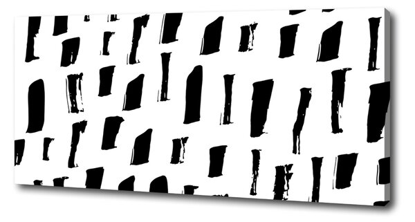 Print pe canvas pata alb-negru