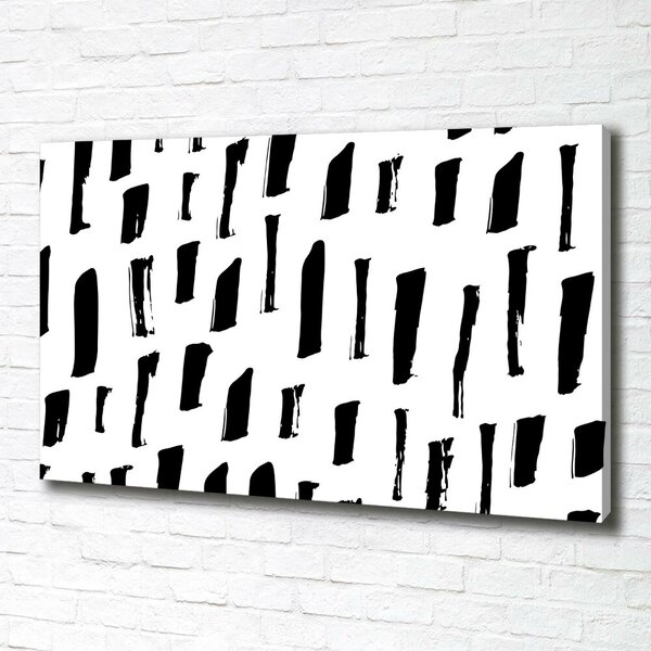 Print pe canvas pata alb-negru