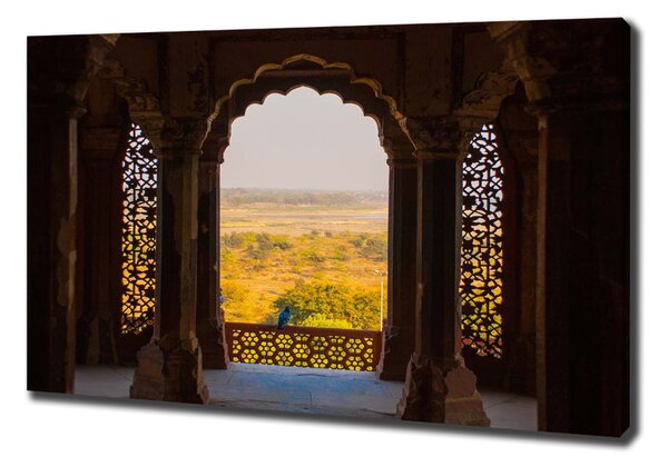 Pictură pe pânză Agra Fort, India
