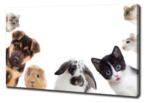 Tablou pe pânză Animale de companie