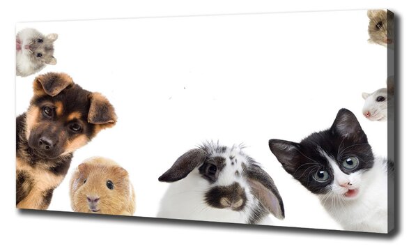 Tablou pe pânză Animale de companie