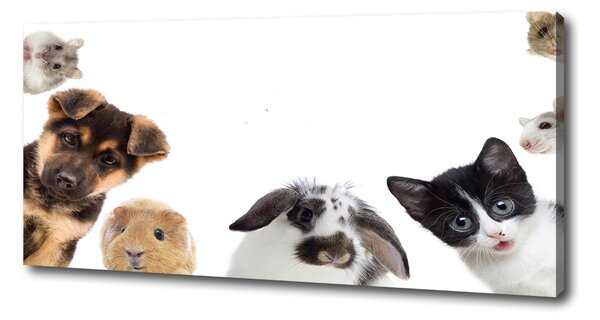 Tablou pe pânză Animale de companie