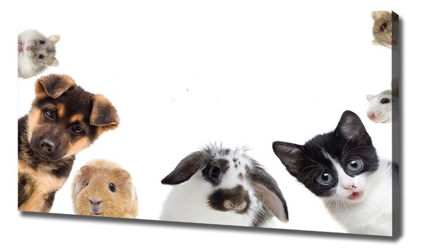 Tablou pe pânză Animale de companie
