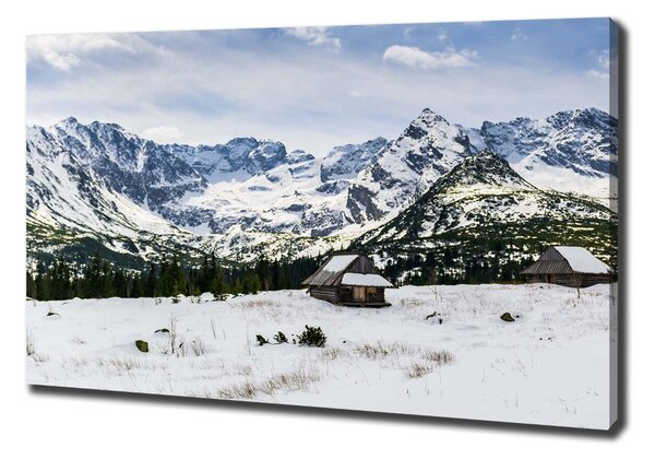 Pictură pe pânză Hale Tatry